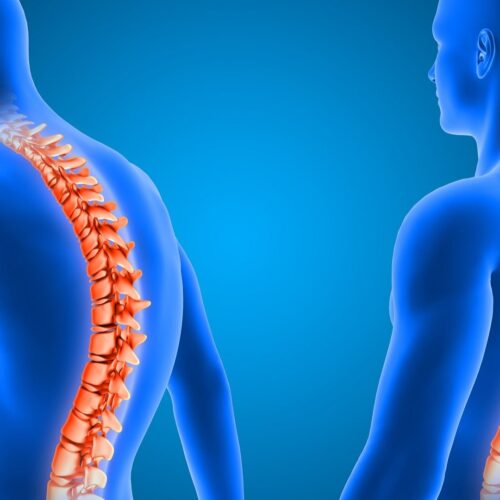 3d-render-showing-correct-poor-posture-with-spine-highlighted